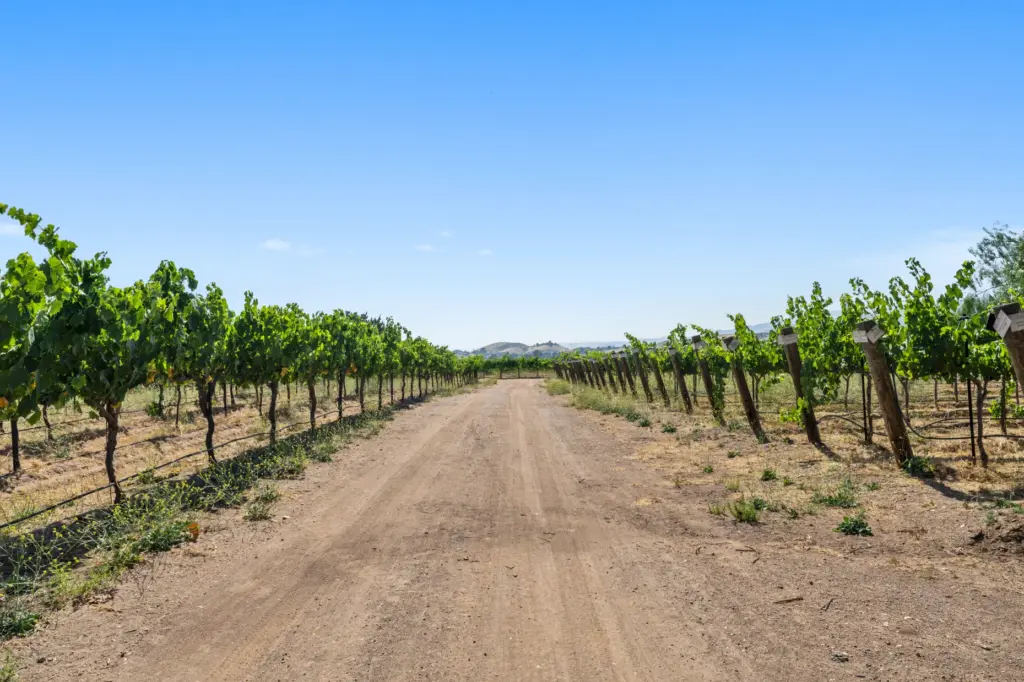 Agua Dulce Winery produces chardonnay, zinfandel, syrah, cabernet sauvignon and...