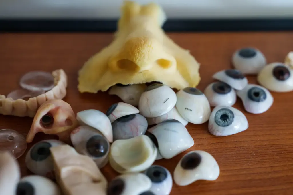 Ocular prostheses are displayed on a table at the Imateh Medical laboratory.