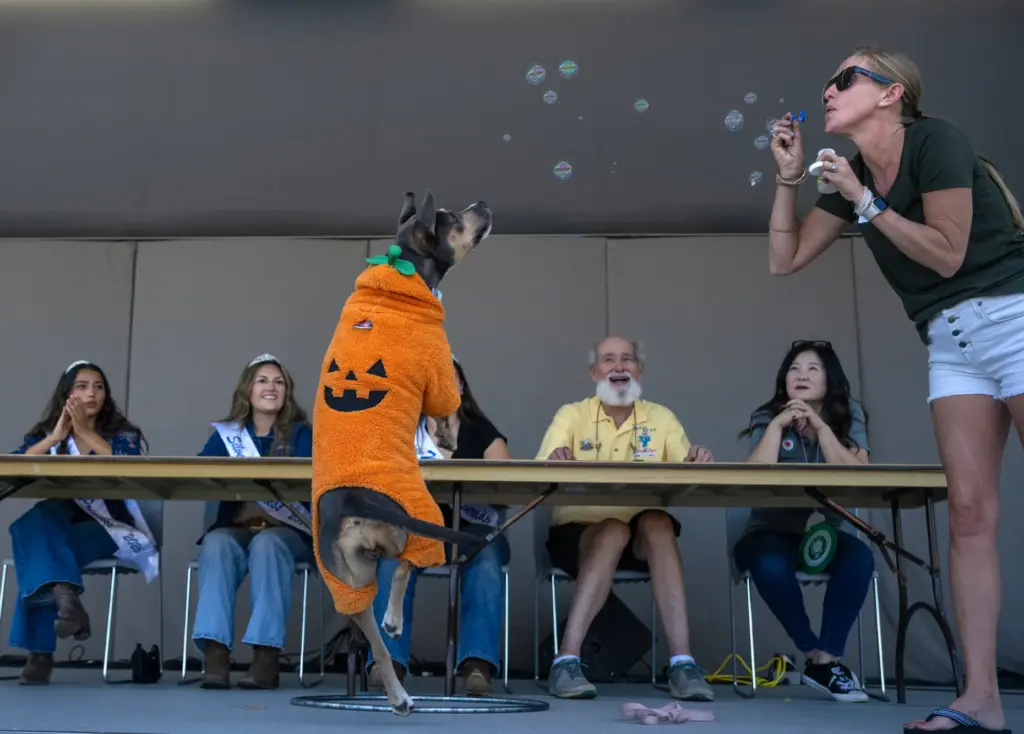 Jessica Wuth performs with her dog Jules during the Silverado...