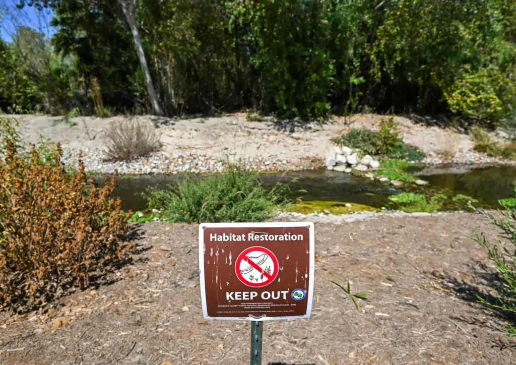 The Santa Ana River flows past Martha McLean/Anza Narrows Regional...