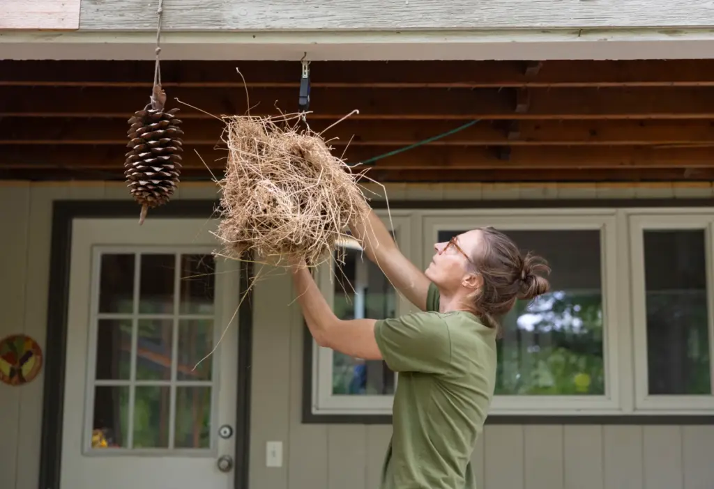 Melissa Duhaime weighs a bushel of recently harvested flax straw,...