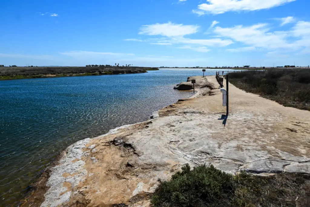 The Bolsa Chica Wetlands in Huntington Beach on Friday, October...