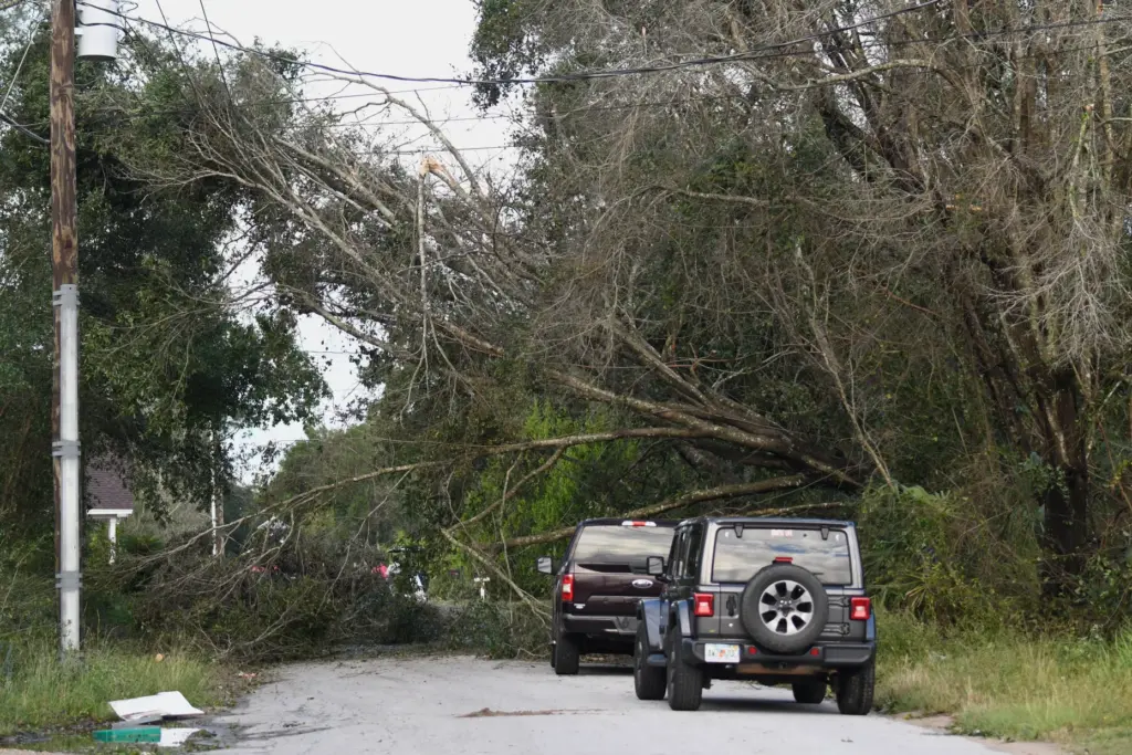 Trees toppled by the effects of Isaias block a road...
