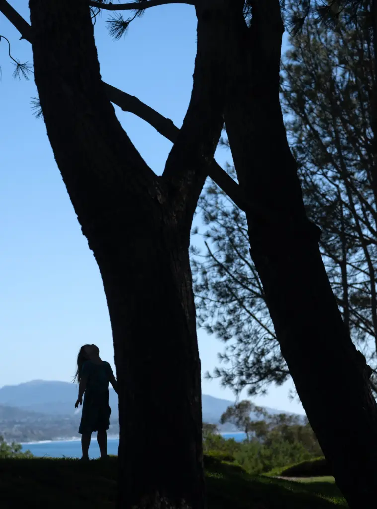 A girl watches a squirrel run up a Torrey pine...