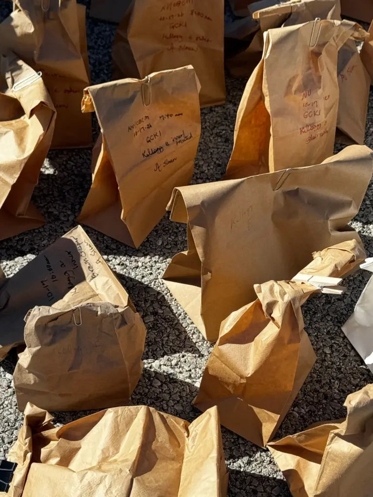 Volunteers with Bird-Friendly Evanston bag 42 live, injured birds on...