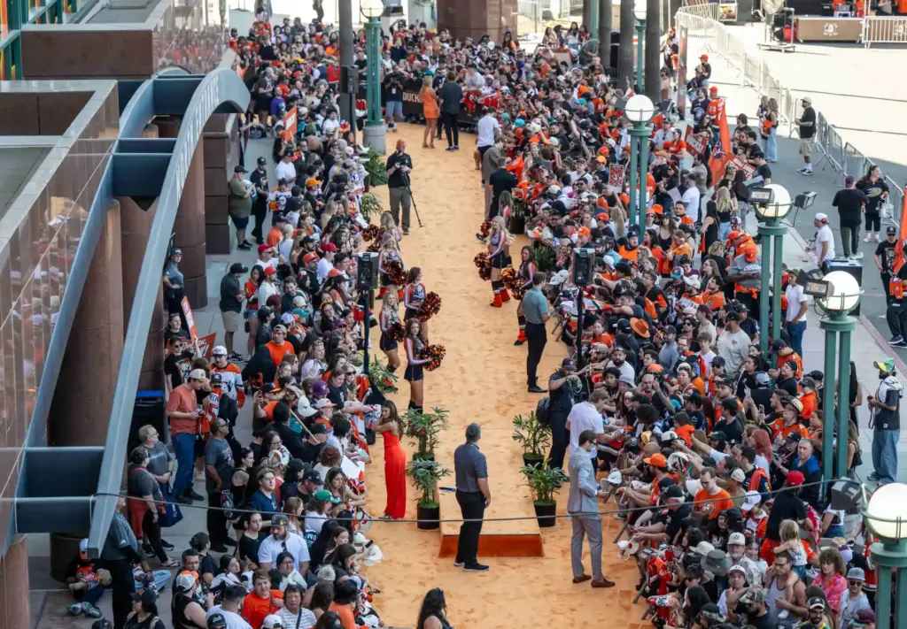 Hundreds of Ducks fans line the orange carpet as players...