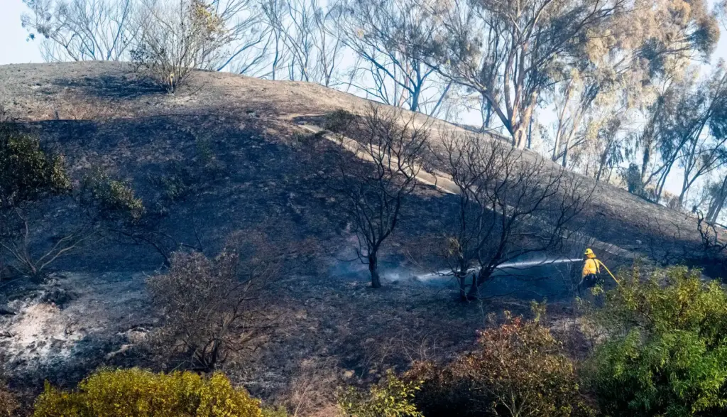 A firefighter puts out hot spots along Calle Miramar during...