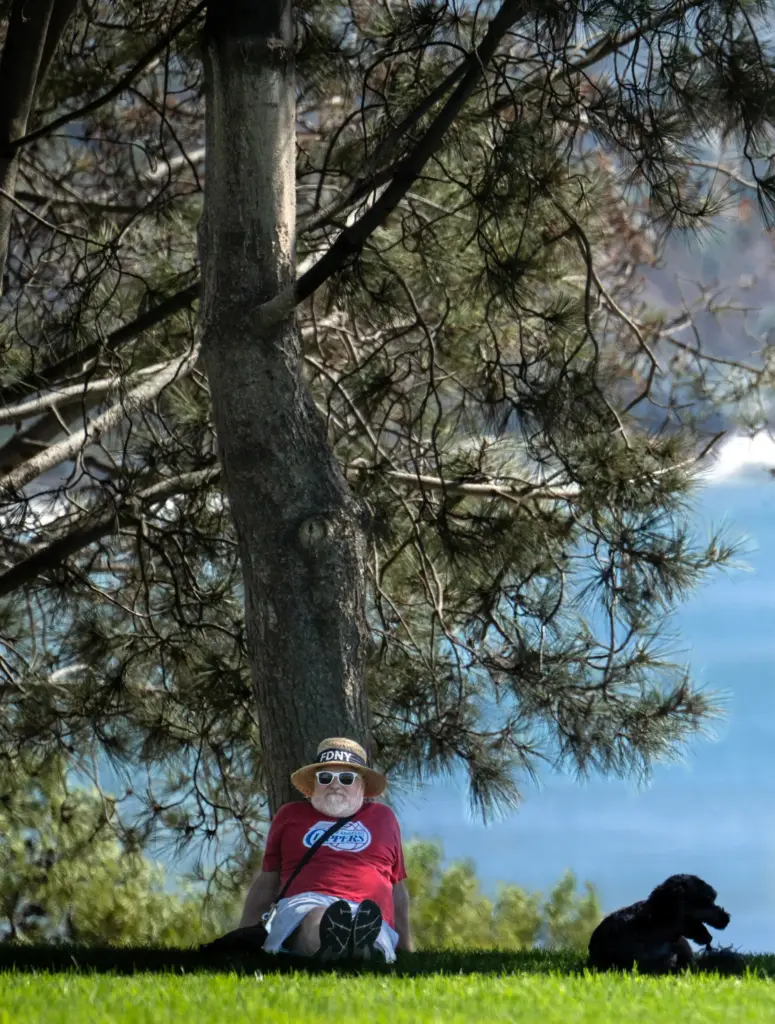 Brady Hollingsworth sits under a Torrey pine with his dogs,...