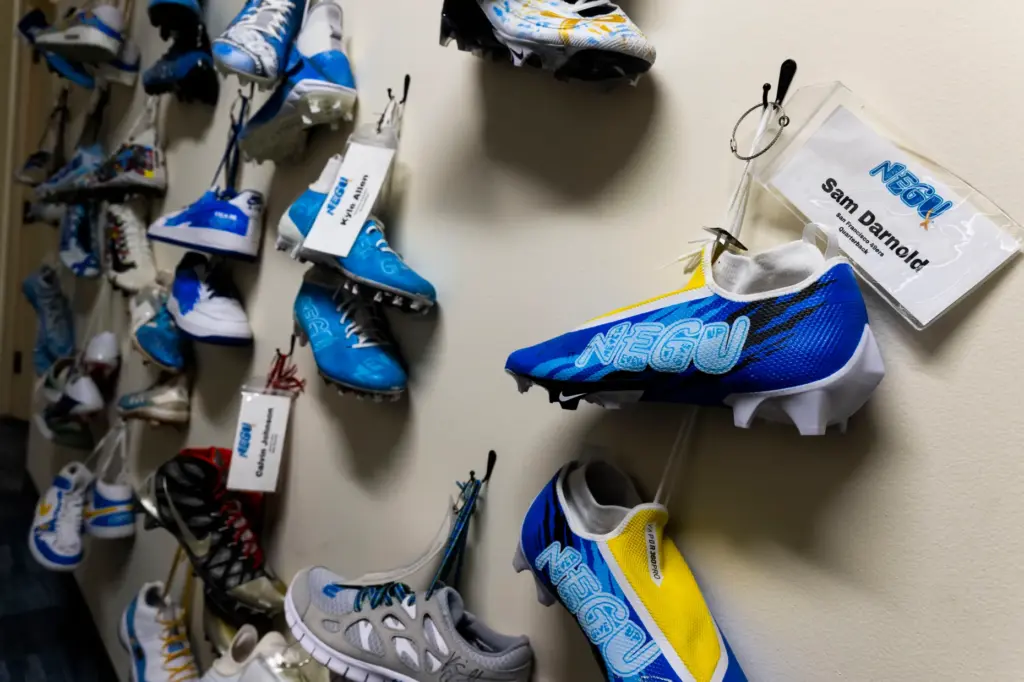 Cleats from the NFLâs My Cause My Cleats program are...