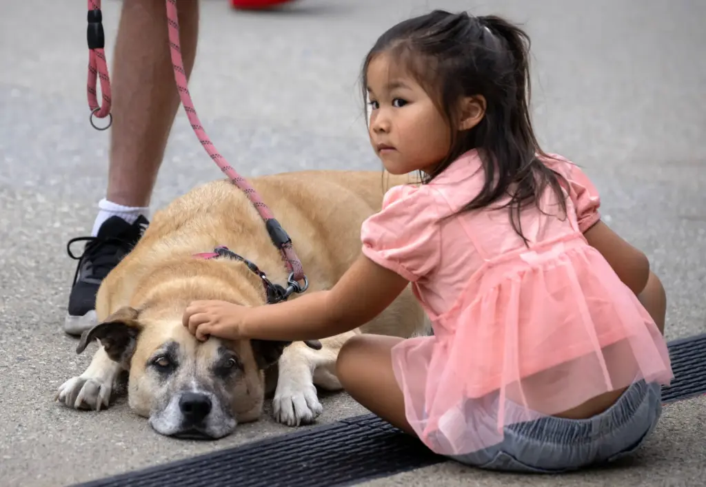 Five-year-old Sloane Carr and her grandparents’ dog, Gypsy, attend the...