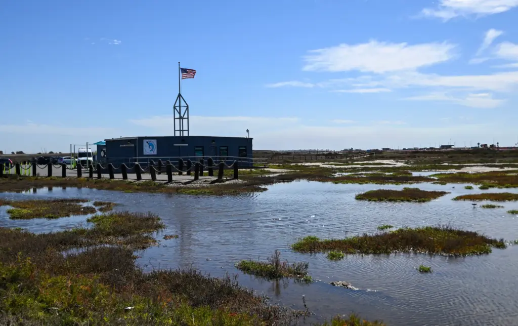 The Bolsa Chica Wetlands in Huntington Beach on Friday, October...