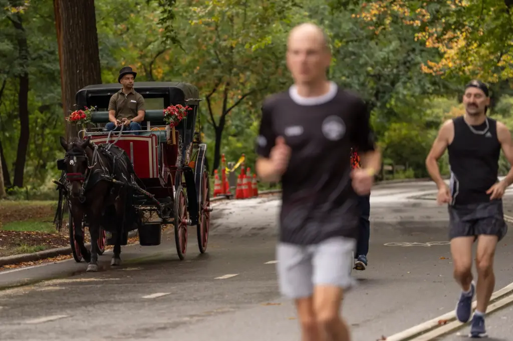 A horse-drawn carriage takes passengers for a loop through Central...