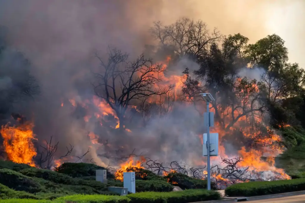 Flames from the Norte Fire burn vegetation on the north...