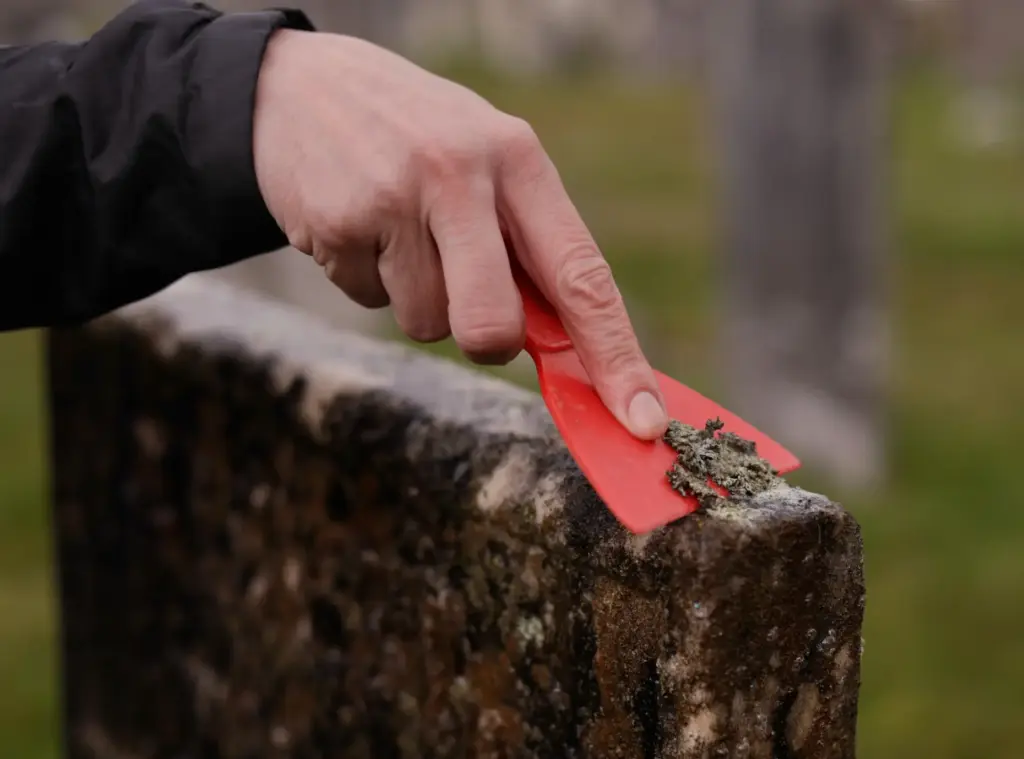 Caitlin Abrams, who became popular on TikTok for her grave...
