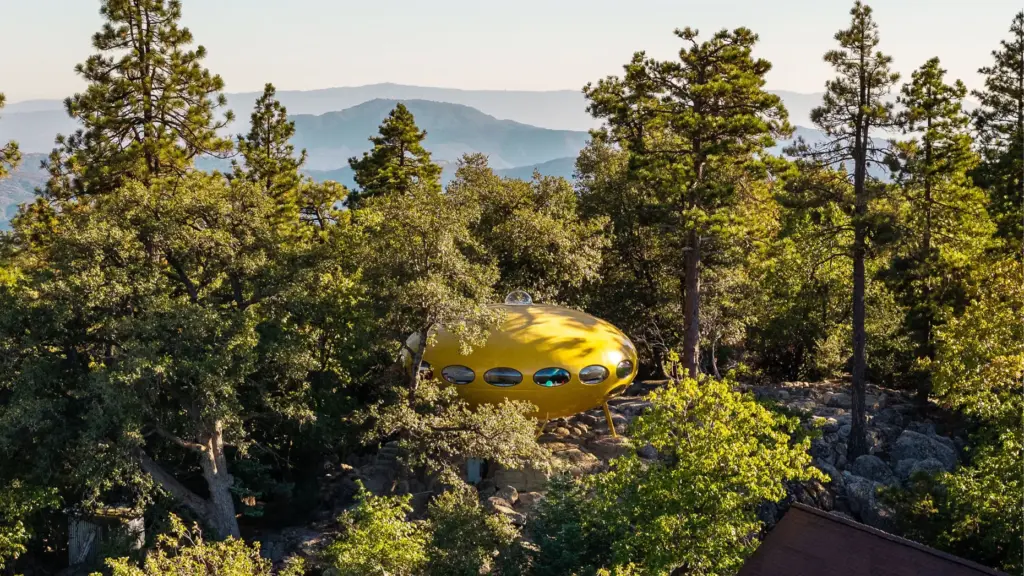 The harvest-gold Donaldson Futuro peeks through a dense forest canopy...