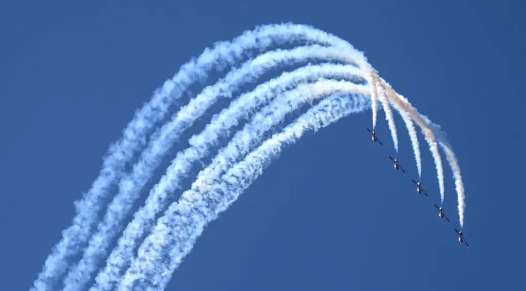 The Canadian Forces Snowbirds perform during the Pacific Airshow in...