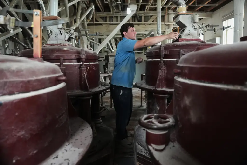Eric Gifford, head miller at The Birkett Mills, takes a sample of unhulled buckwheat seeds.