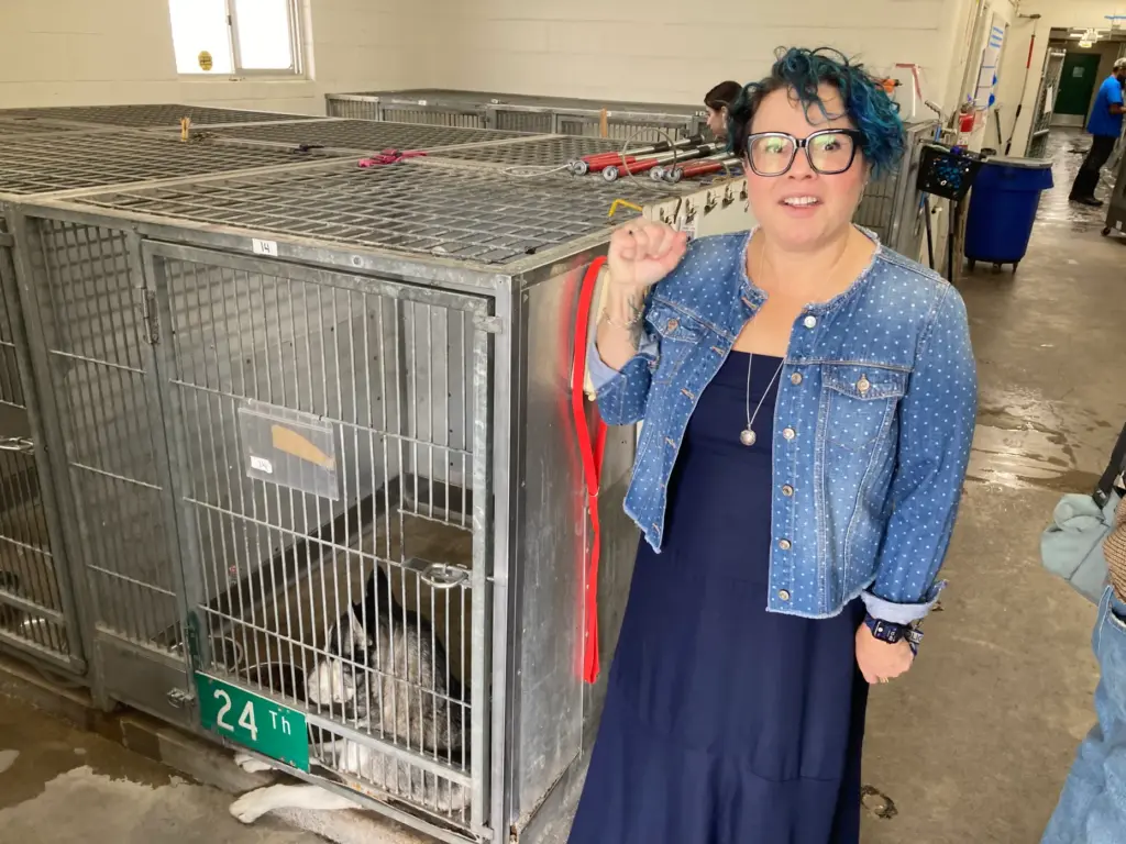 San Bernardino Animal Services Director Kristine Watson during a recent...
