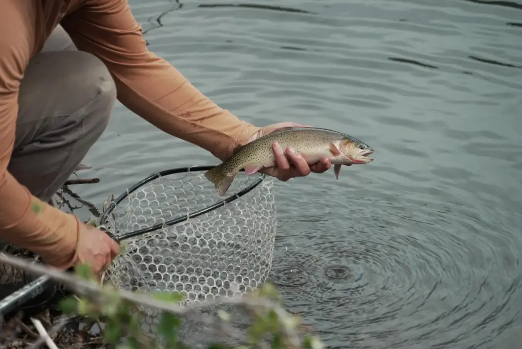 Nick Walrath holds a trout at Trout Creek, Thursday, Aug....