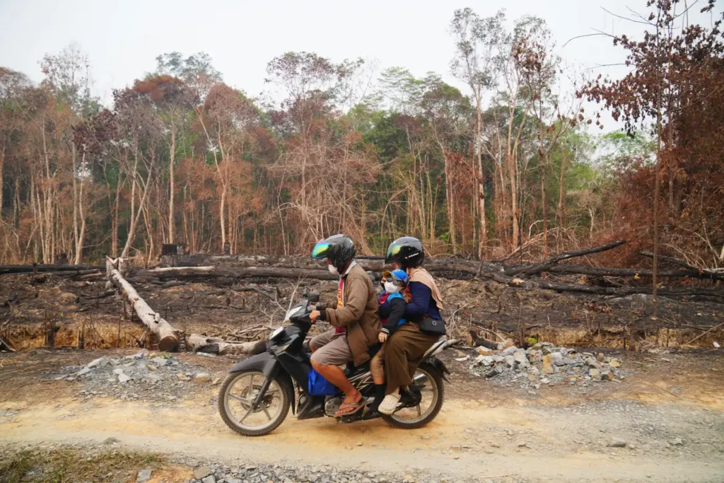 People ride a motorcycle past peatlands damaged by wildfires in...