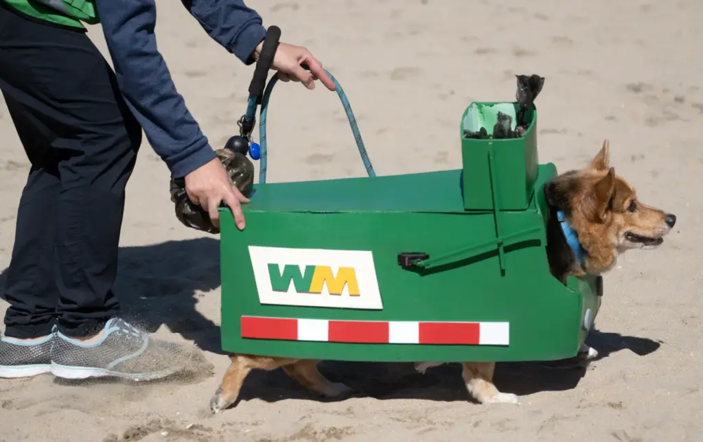 Mr. Fox is a Waste Management garbage truck during the...