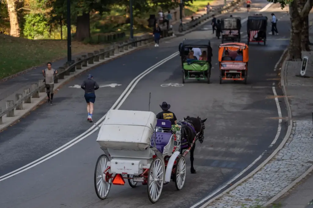 A horse-drawn carriage takes passengers for a loop through Central...