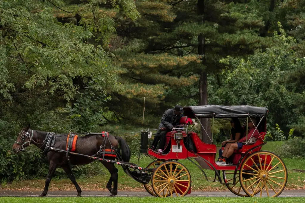 A horse-drawn carriage takes passengers for a loop through Central...