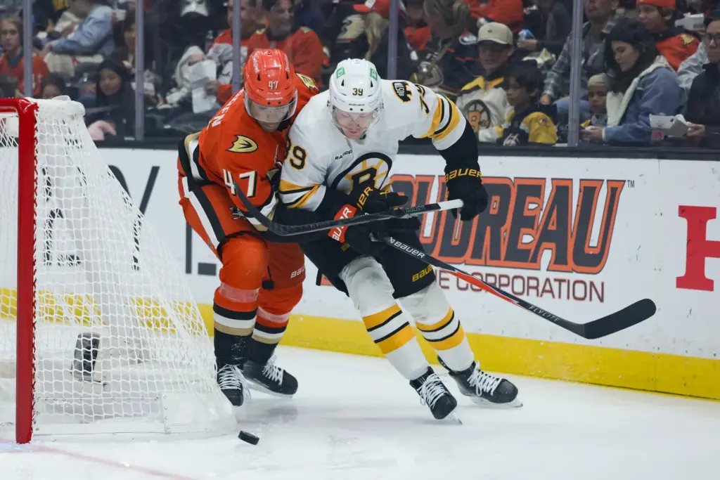 Boston Bruins center Morgan Geekie and Ducks defenseman Noah Warren...