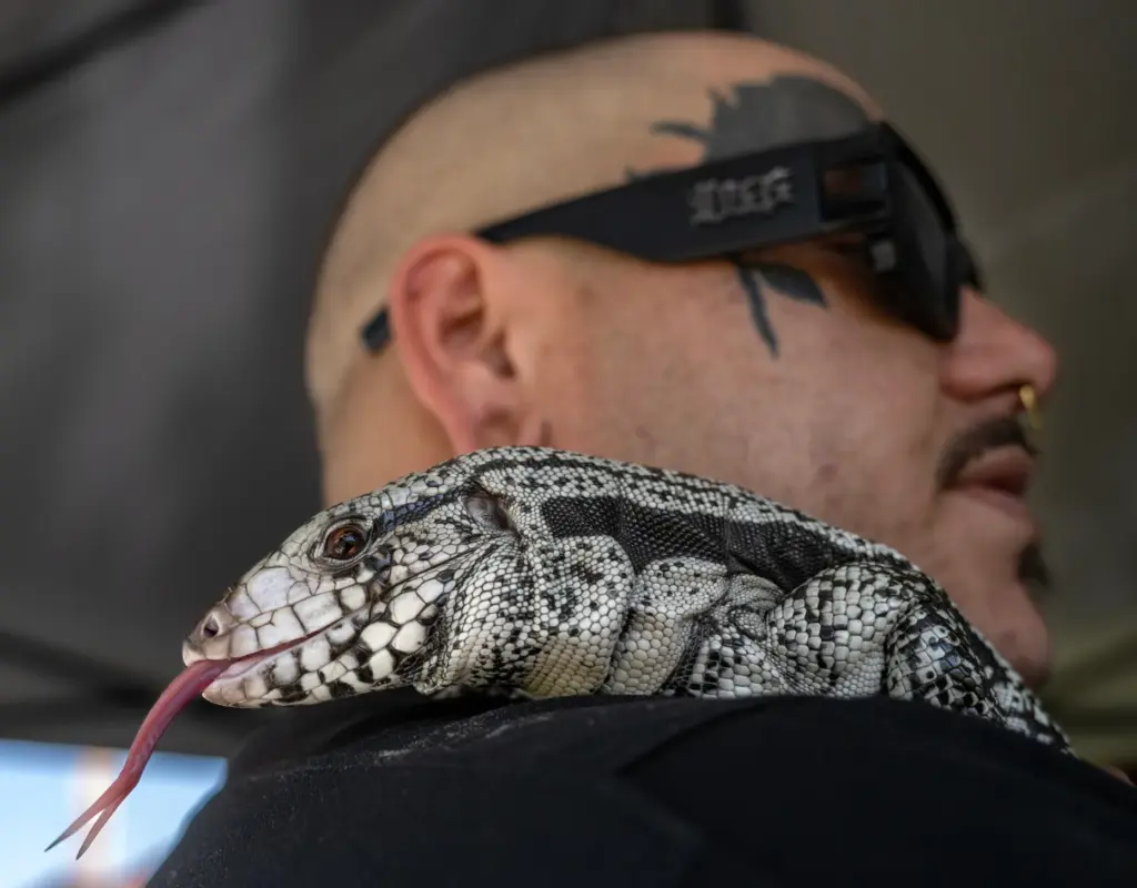 Nick Paredes with Gz Safari Park Rescue shows off his...