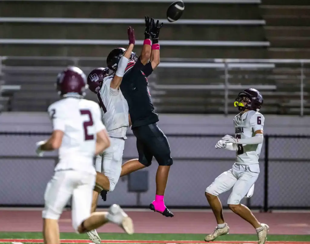 Troy wide receiver Andrew Green (3) makes a leaping touchdown...