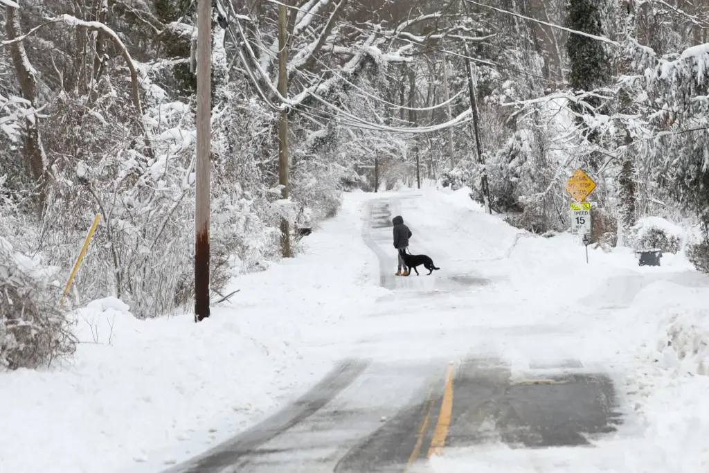 FILE – A man walks a dog down a road...