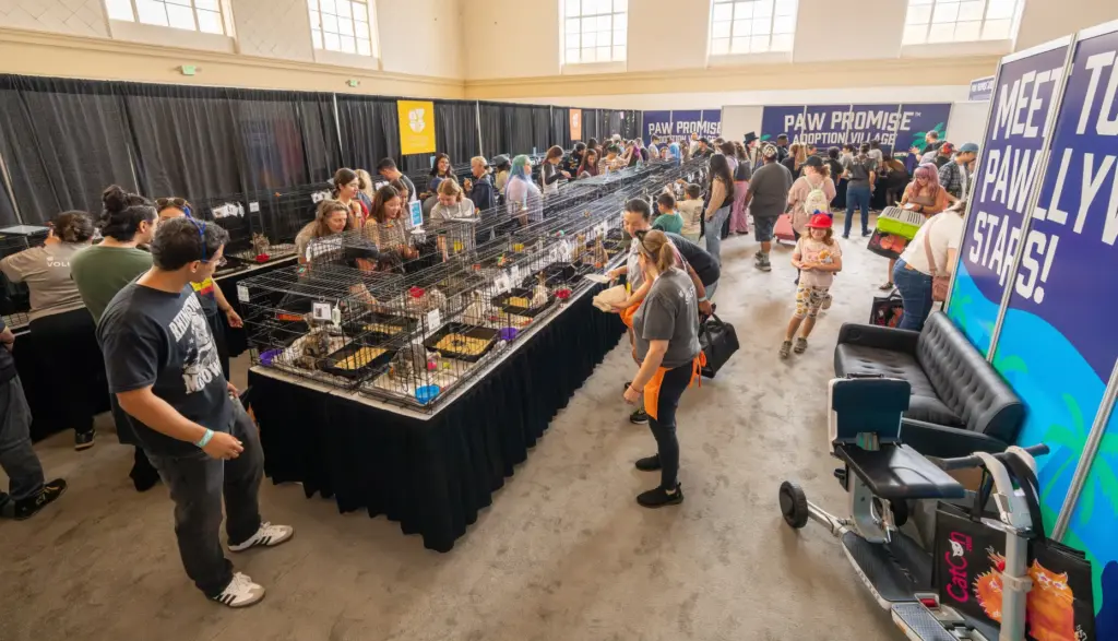 Ticket Out, Inc host its annual CatCon convention at the...