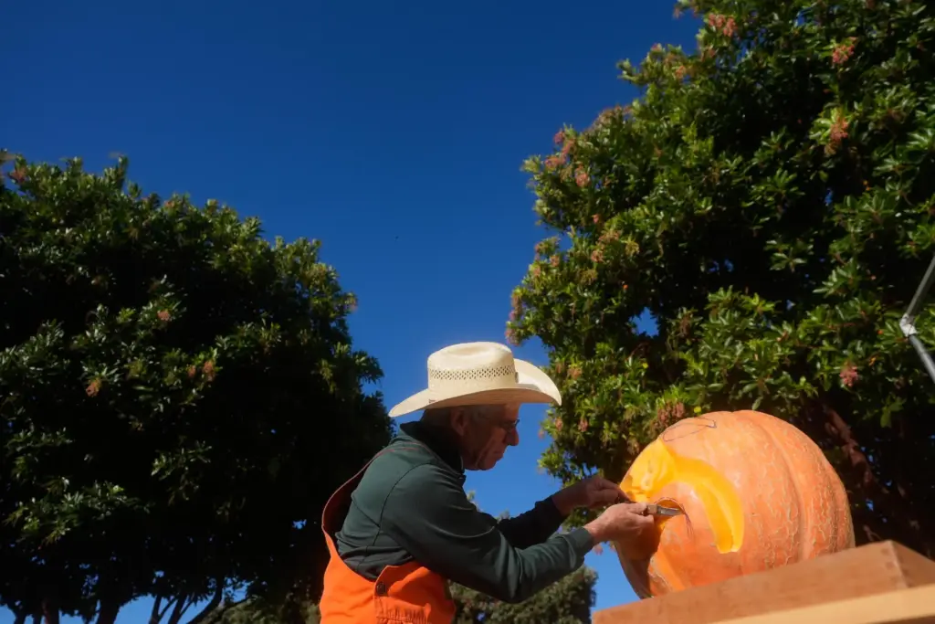 Farmer Mike Valladao carves a pumpkin at the Safeway World...