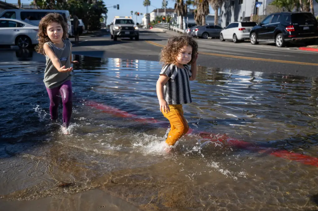 Siblings Bodhi Ayloush, 4, left, and Dusty, 2, play on...