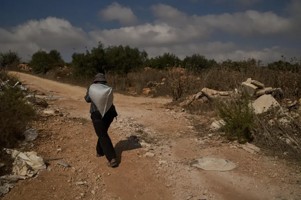 A Palestinian carries a sack of olives after members of...