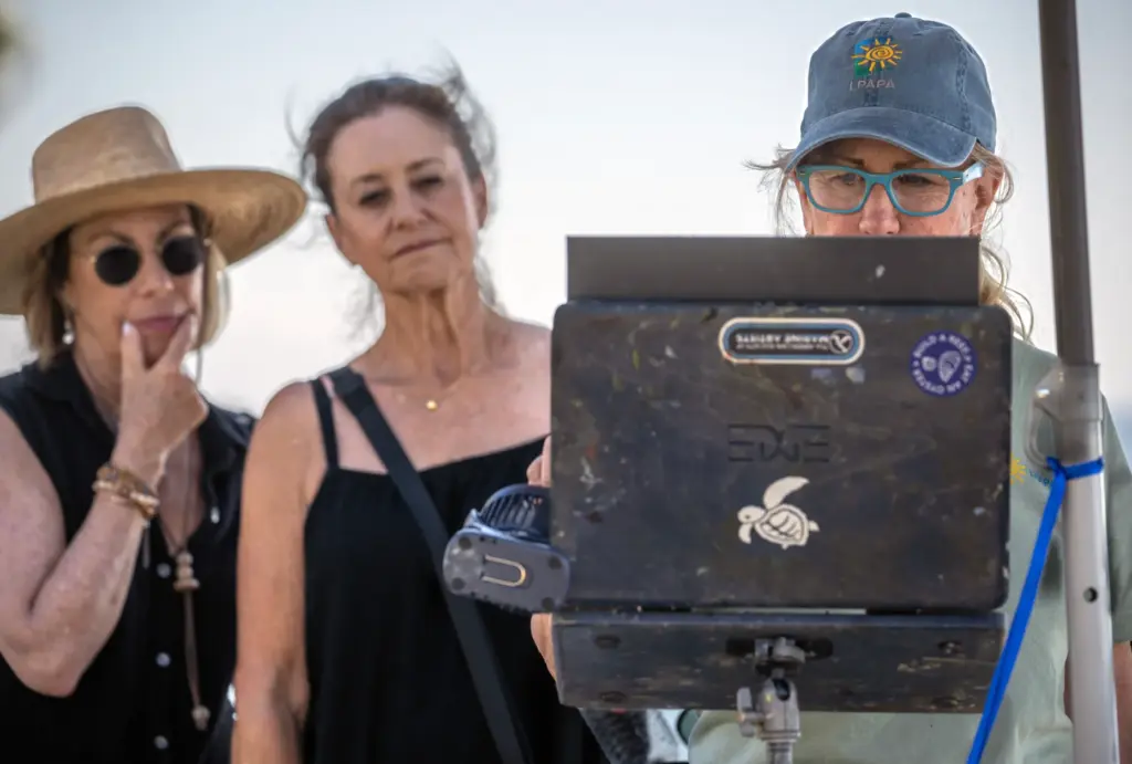People watch artist Debra Huse work on her plein air...