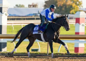 Del Mar star Knightsbridge joins Breeders’ Cup Classic field