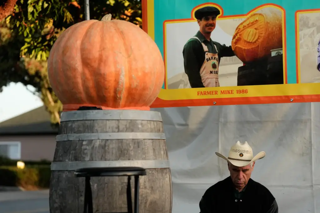 Farmer Mike Valladao prepares to carve a pumpkin at the...