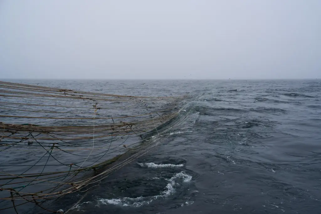 A trawl net, which can extend in the length of...