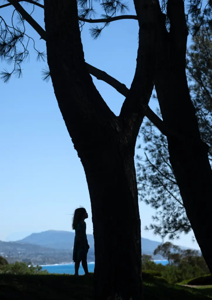 A girl watches a squirrel run up a Torrey pine...