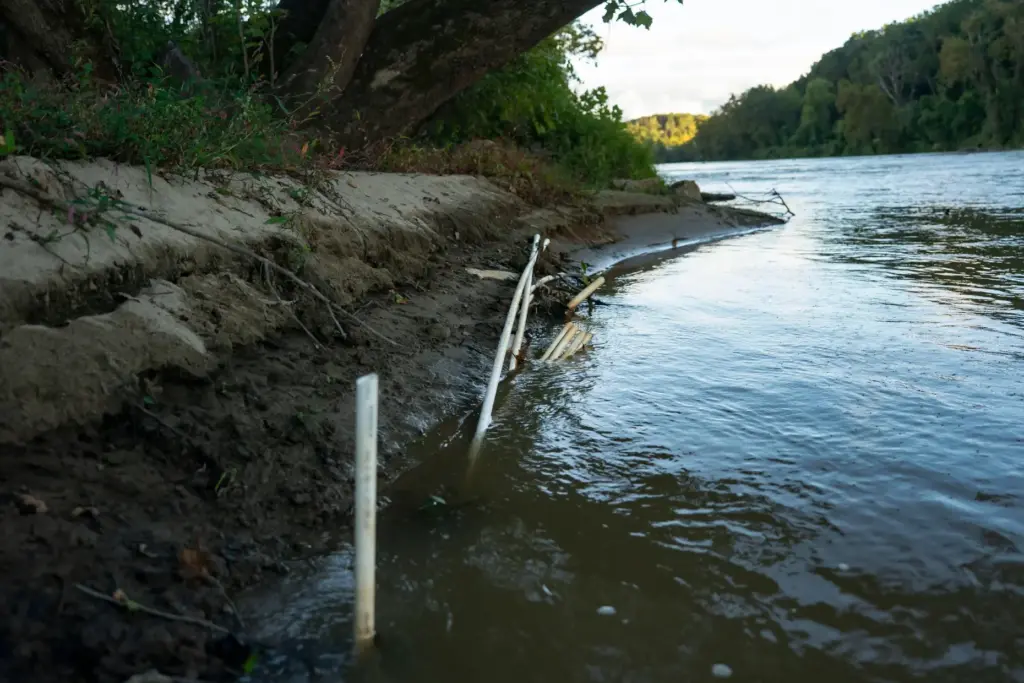 PVC pipe is stuck in the mud and in the...
