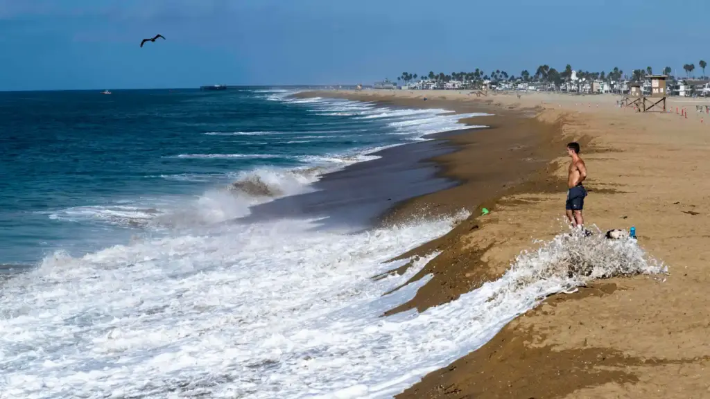 A man stands on top of a sand berm as...
