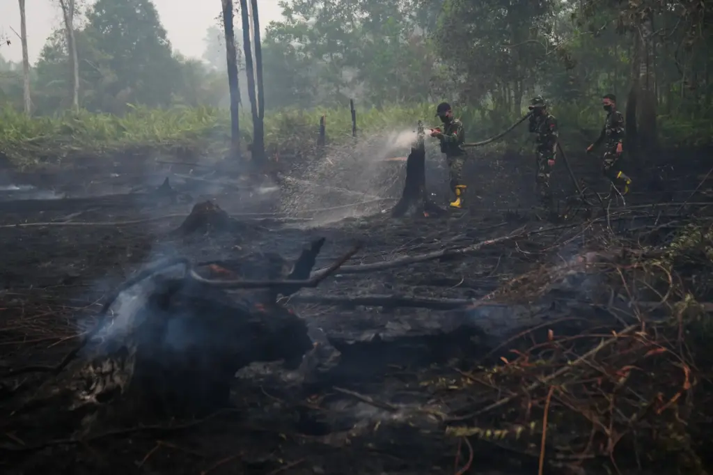 Soldiers spray water to put out wildfires burning in peatland...
