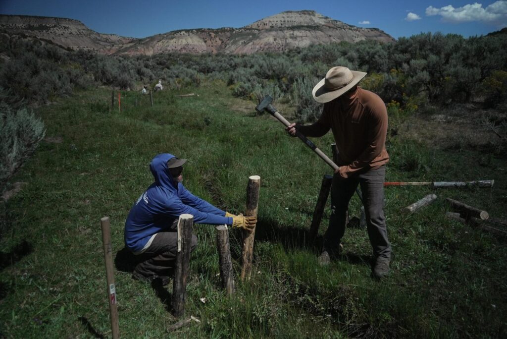 Workers build a beaver dam on Spring Creek, Thursday, Aug....