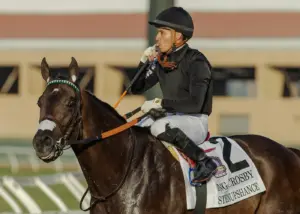 Horse racing notebook: Santa Anita riding leaders battle in weekend stakes