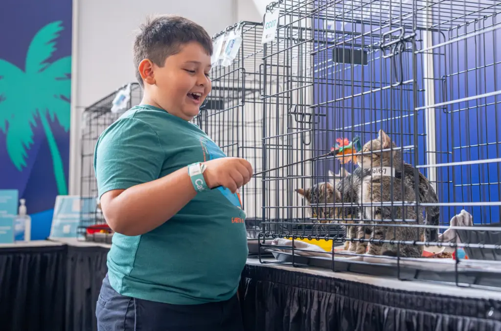 Aaron Salas plays with cats during CatCon at the Pasadena...