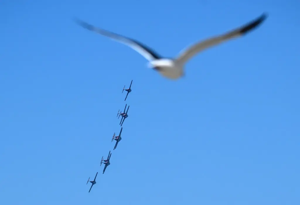 The Canadian Forces Snowbirds perform during the Pacific Airshow in...