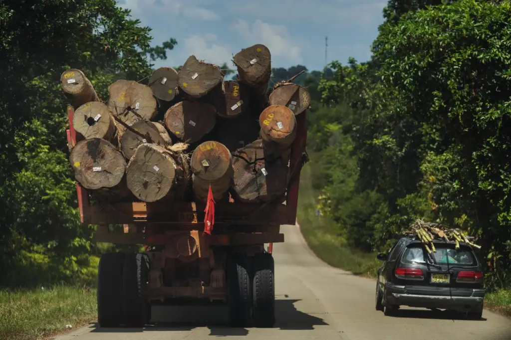 An illegal logging truck drives down a road on the...