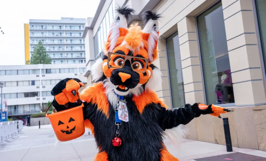 Ticket Out, Inc host its annual CatCon convention at the...