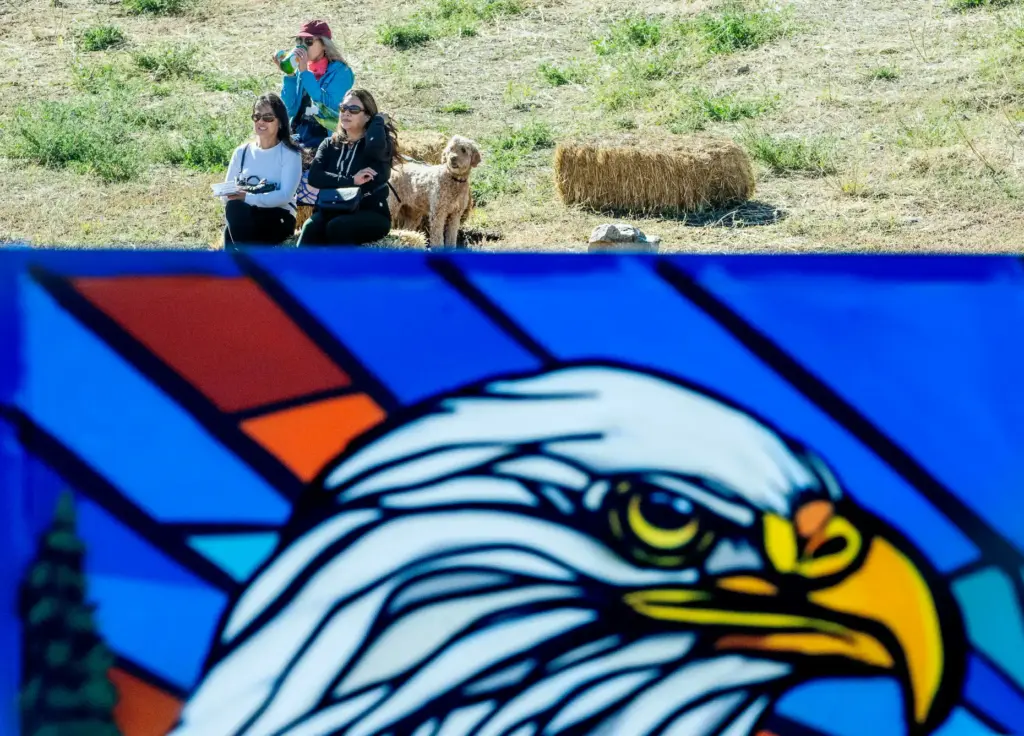 People watch from the slopes above the a mural spray...